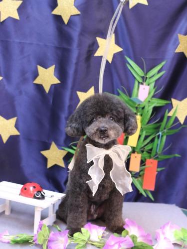 20230714コタロウくん